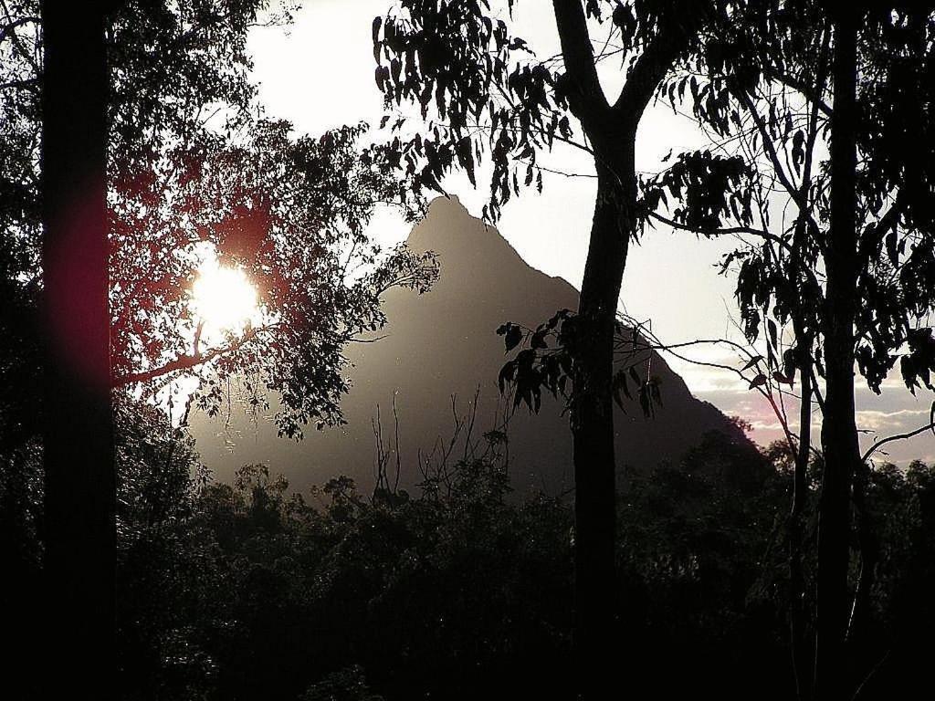 Glass House Mountains Ecolodge Luaran gambar