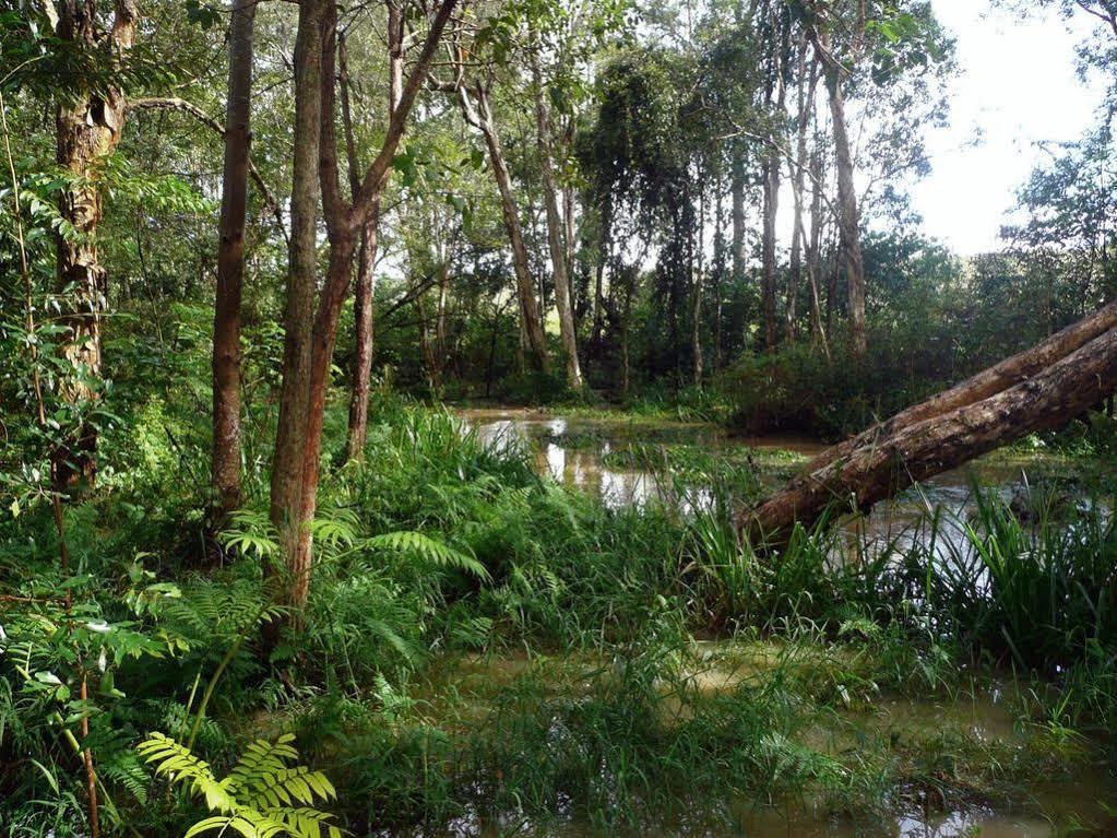 Glass House Mountains Ecolodge Luaran gambar